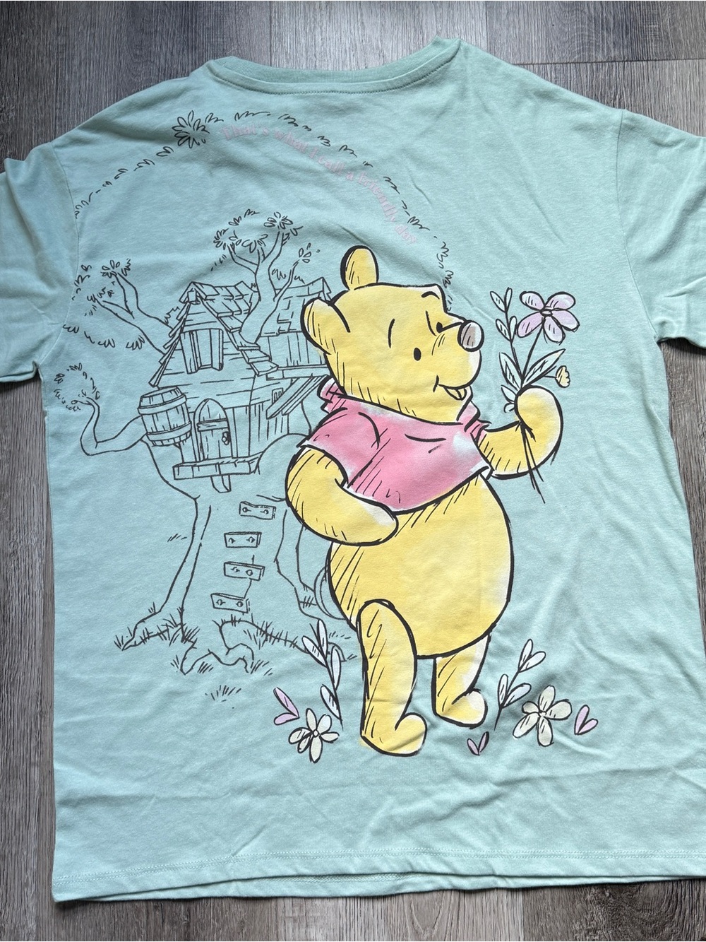 Disney Winnie the Pooh Green Graphic T-Shirt Youth Size XL - 0215 - Picture 5 of 5
